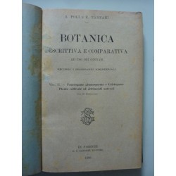 BOTANICA DESCRITTIVA AD USO DEI GINNASI Vol. II Fanerogame gimnosperme e Crittogame. Piante coltivate e altrimenti notevoli