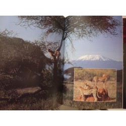 THE MAN WHO MOVED THE WORLD. THE LIFE & WORKS OF MOHAMED AMIN