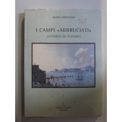 I CAMPI "ABBRUCIATI" ASTERISCHI FLEGREI