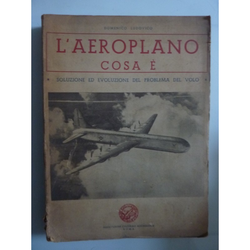 L'AEROPLANO COSA E' Soluzione ed evoluzione del problema del volo