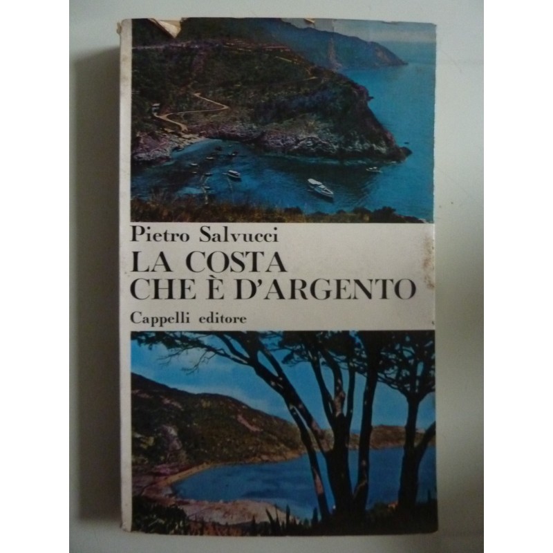 LA COSTA CHE E' D'ARGENTO