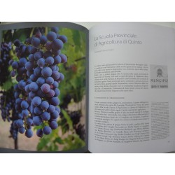 VALPANTENA dal Vimum Raeticum all' Amarone