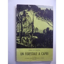 UN FORESTALE A CAPRI