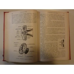 IL PRIMO LIBRO DI ELETTROTECNICA