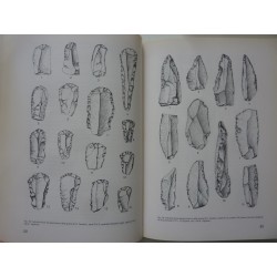 IL LEPTOLITICO IN SICILIA Recenti acquisizioni sull'Epipaleolitico e Mesolitico - Centro Siciliano di Studi Preistorici e Protos