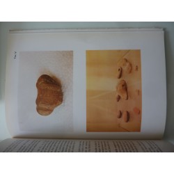 IL LEPTOLITICO IN SICILIA Recenti acquisizioni sull'Epipaleolitico e Mesolitico - Centro Siciliano di Studi Preistorici e Protos