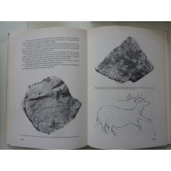 IL LEPTOLITICO IN SICILIA Recenti acquisizioni sull'Epipaleolitico e Mesolitico - Centro Siciliano di Studi Preistorici e Protos