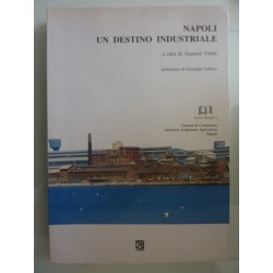 NAPOLI UN DESTINO INDUSTRIALE Prefazione di Giuseppe Galasso