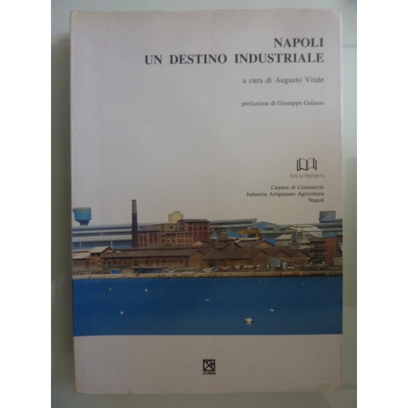 NAPOLI UN DESTINO INDUSTRIALE Prefazione di Giuseppe Galasso