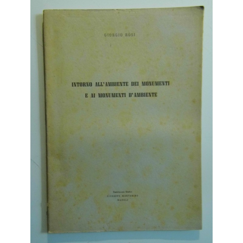 INTORNO ALL'AMBIENTE DEI MONUMENTI E AI MONUMENTI D'AMBIENTE