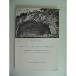 INDAGINE SUL SOTTOSUOLO NAPOLETANO Contributo alla divulgazione del problema nei suoi aspetti urbanistici ed edilizi ( 1961 - 19