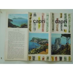 CAPRI