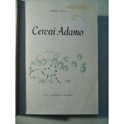 Cercai Adamo