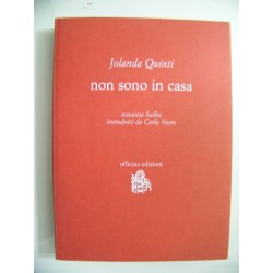 NON SONO IN CASA novanta haiku introdotti da Carla Vasio