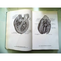 ATLANTE DI ANATOMIA UMANA Vol. I - II