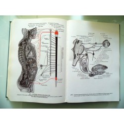 ATLANTE DI ANATOMIA UMANA Vol. I - II