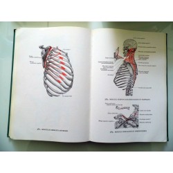 ATLANTE DI ANATOMIA UMANA Vol. I - II