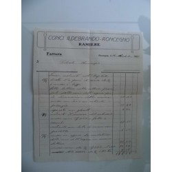 Fattura "CONCI ILDEBRANDO - RONCEGNO RAMIERE 14 Novembre 1929"