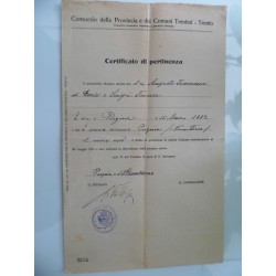 Consorzio della  Provincia dei Comuni Trentini - Trento CERTIFICATO DI PERTINENZA  Pergine  13 Dicembre 1920