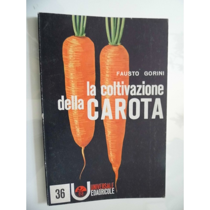 LA COLTIVAZIONE DELLA CAROTA