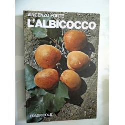 L'ALBICOCCO