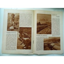 Manuale pratico del Turismo