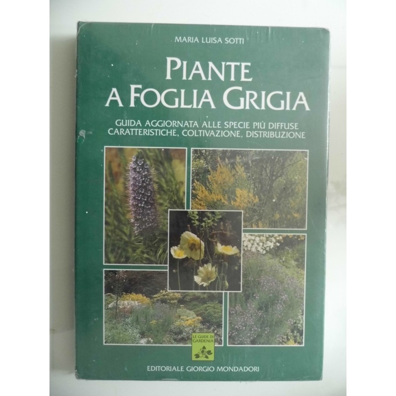 PIANTE A FOGLIA GRIGIA