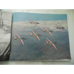 PAF  Patrouille Acrobatique de France