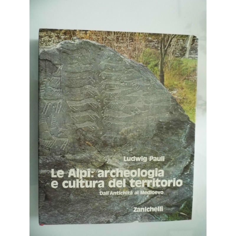 LE ALPI: ARCHEOLOGIA E CULTURA DEL TERRITORIO Dall'Antichità al Medioevo