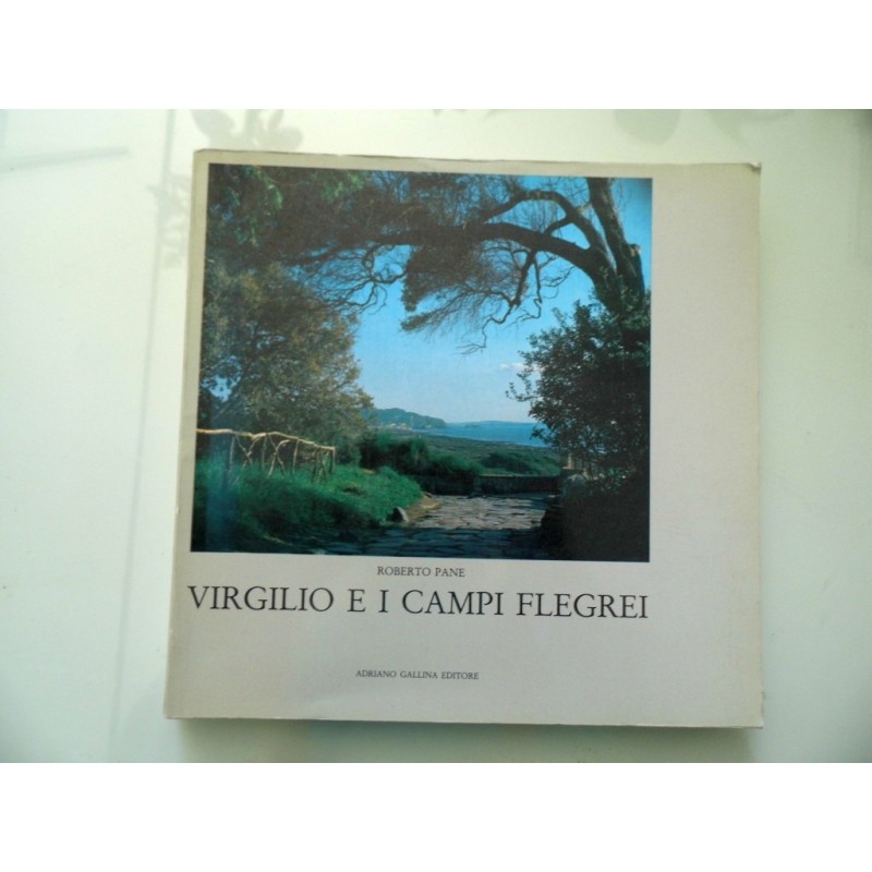 VIRGILIO E I CAMPI FLEGREI