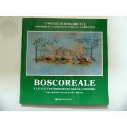 Comune di Boscoreale, Assessorato ai Beni Culturali e Ambientali BOSCOREALE E LE SUE TESTIMONIANZE ARCHEOLOGICHE VILLA RUSTICA I