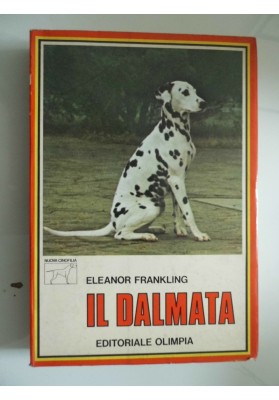 IL DALMATA