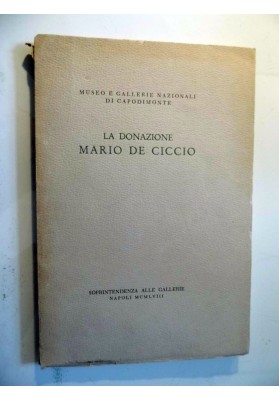 LA DONAZIONE MARIO DE CICCIO