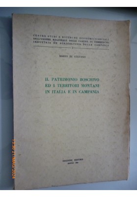 IL PATRIMONIO BOSCHIVO ED I TERRITORI MONTANI IN ITALIA E CAMPANIA