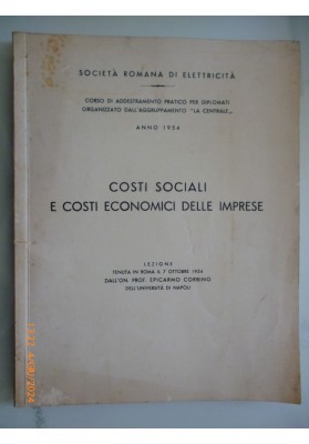 COSTI SOCIALI E COSTI ECONOMICI DELLE IMPRESE