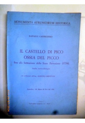 IL CASTELLO DI PICCO OSSIA DEL PICO fino alla formazione dello Stato Faresiano ( 1734 )