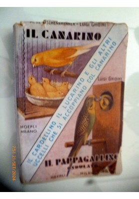 IL CANARINO, IL CARDELLINO, IL LUCARINO, IL PAPPAGALLINO ONDULATO