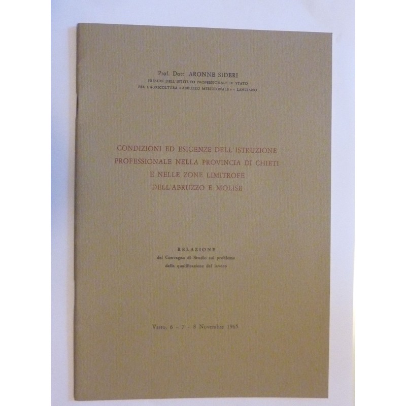 CONDIZIONI ED ESIGENZE DELL'ISTRUZIONE PROFESSIONALE  NELLA PROVINCIA DI CHIETI E NELLE ZONE LIMITROFE DELL'ABRUZZO E MOLISE Rel