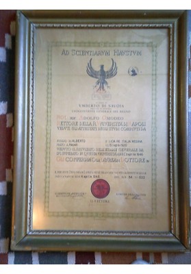 DIPLOMA DI LAUREA IN GIURISPRUDENZA UNIVERSITA' DEGLI STUDI DI NAPOLI FEDERICO II  LUOGOTENENZA 6 Aprile 1946