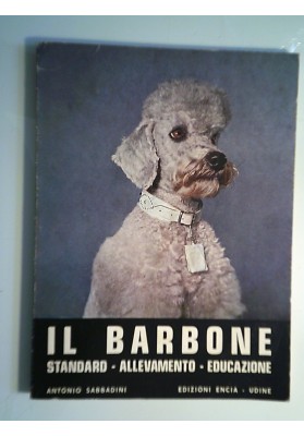 IL BARBONE STANDARD - ALLEVAMENTO - EDUCAZIONE