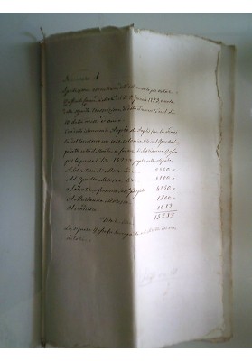 Documento "Regno d'Italia Atto Notarile Vendita terreno con casa colonica in S. Agnello di Sorrento" 1875