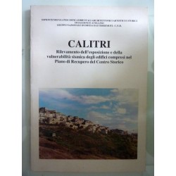 CALITRI Rilevamento dell'esposizione e della vulnerabilità sismica degli edifici compresi nel Piano di Recupero del Centro Stori