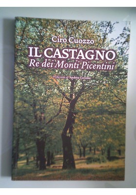 IL CASTAGNO Re dei Monti Picentini