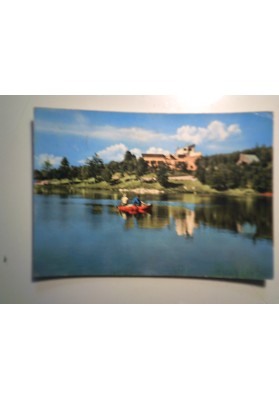 Cartolina Viaggiata "APPENNINO REGGIANO Lago di Cerreto" 1959