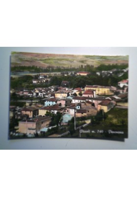 Cartolina Viaggiata "Pizzoli m. 740 - Panorama"