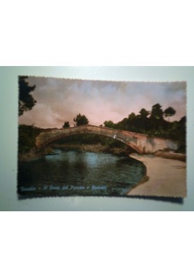 Cartolina Viaggiata "Versilia Il Ponte del Principe e Fiumetto"  1954