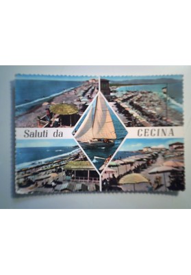 Cartolina Viaggiata "Saluti da CECINA" Vedutine  1959