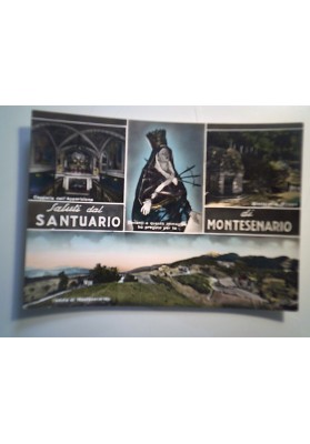 Cartolina Viaggiata "Saluti dal SANTUARIO di MONTESENARIO"  1957