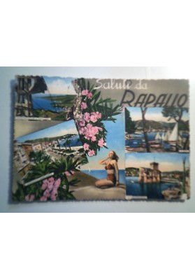 Cartolina Viaggiata "Saluti da Rapallo" Vedutine 1955