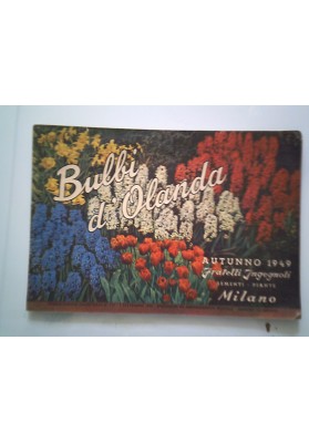 Bulbi d'Olanda AUTUNNO 1949 Fratelli Ingegnoli SEMENTI - PIANTE Milano